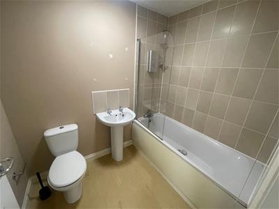 Picture 12